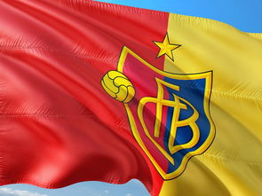 乐鱼体育入口-沃尔夫斯堡球队表现顶尖，取得三分，沃尔夫斯堡球员